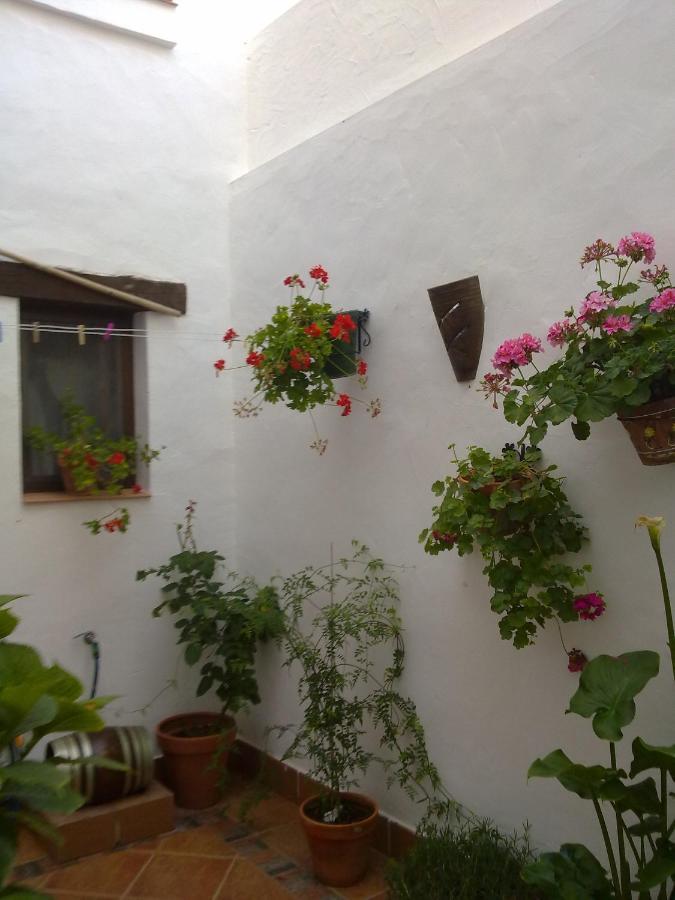 Casa Los Tres Aires 엘로시오 외부 사진